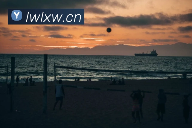 2014总决赛第六场经典瞬间:马刺团队进攻VS热火三巨头